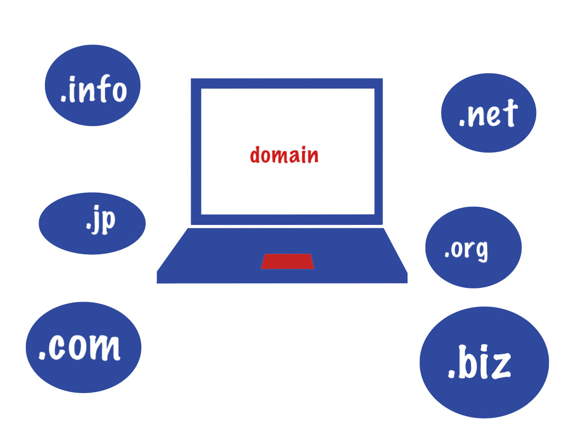 ドメインの写真
